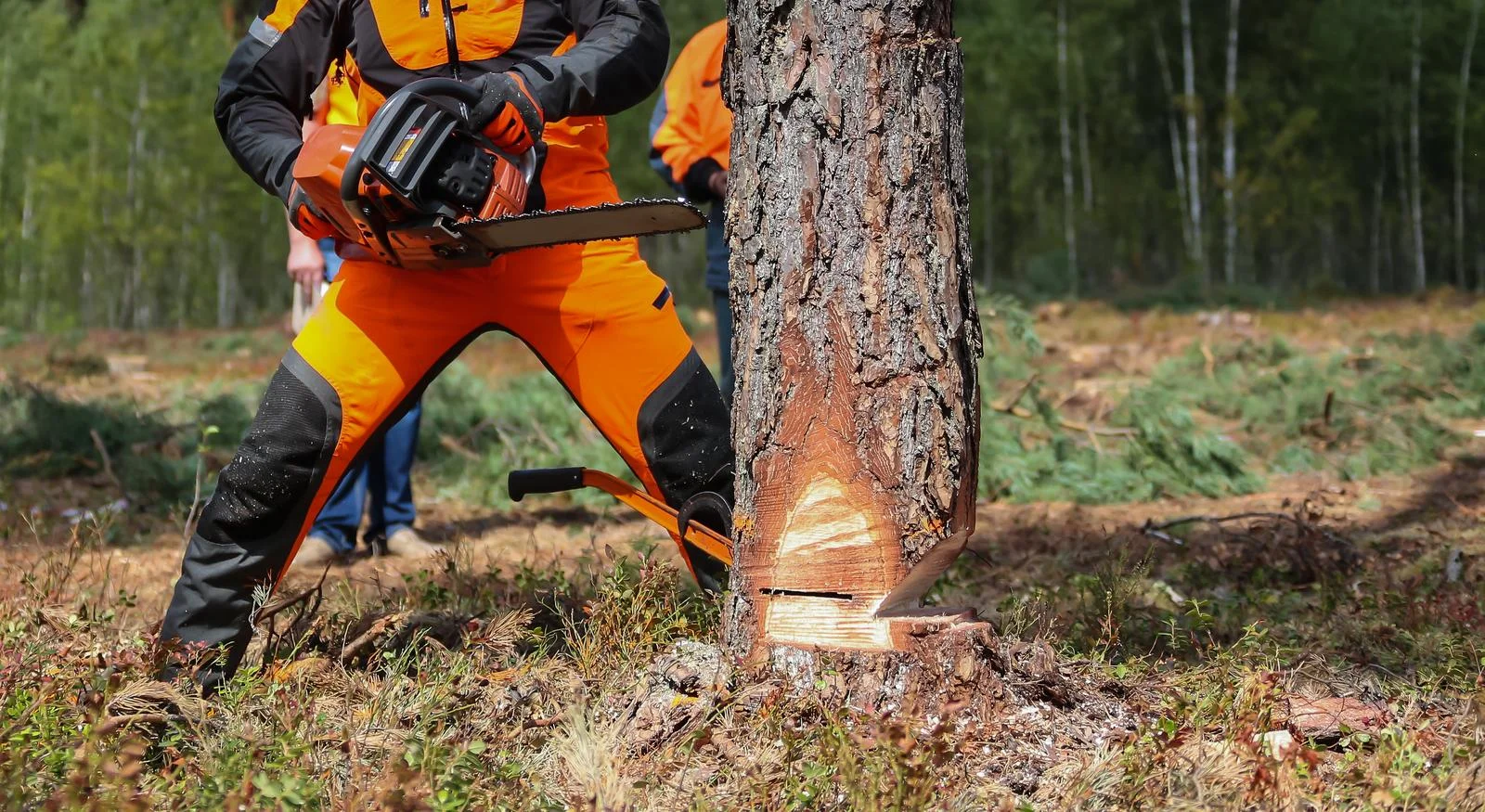 Tree Work Skip