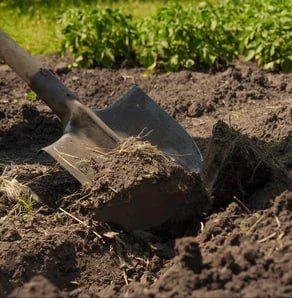 Top Soil