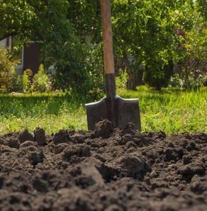 Top Soil